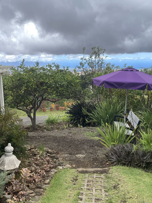 Discover the Serenity of Ali‘i Kula Lavender Farm – Maui’s Hidden Gem