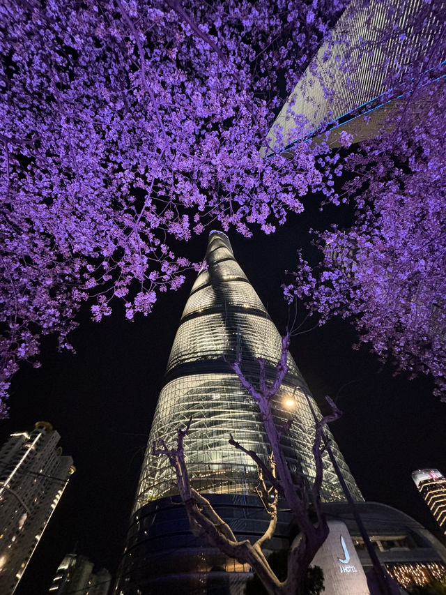 Spring Magic in Shanghai: Best Cherry Blossom Spots You Can’t Miss! 🌸✨