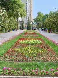 Spring Serenity at Alisher Navoi Park, Dushanbe