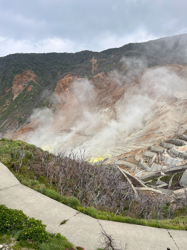 ♨️ 箱根：溫泉、自然與藝術完美交織的療癒之地