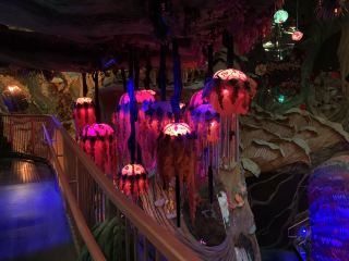 Meow Wolf, Denver Colorado