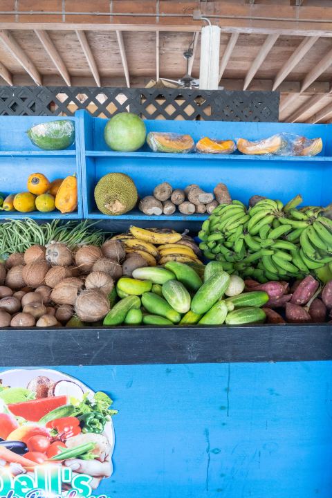 Marriott Beach, the Turtle Centre, Market Color, and Island Food