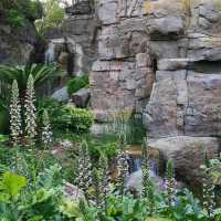 Portaventura pleasure