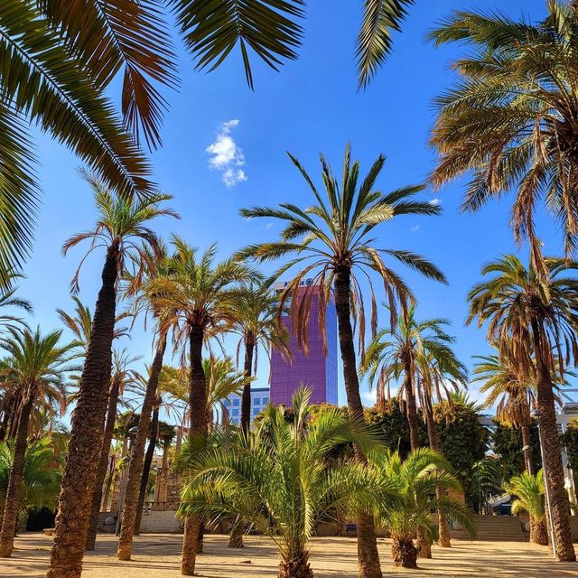 Barceloneta Beach 🗺️