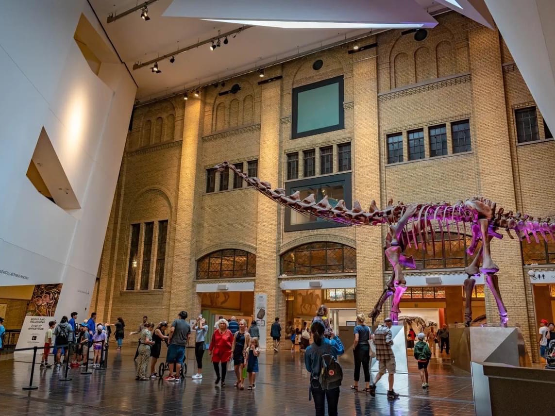 Royal Ontario Museum (@ROMtoronto) / X