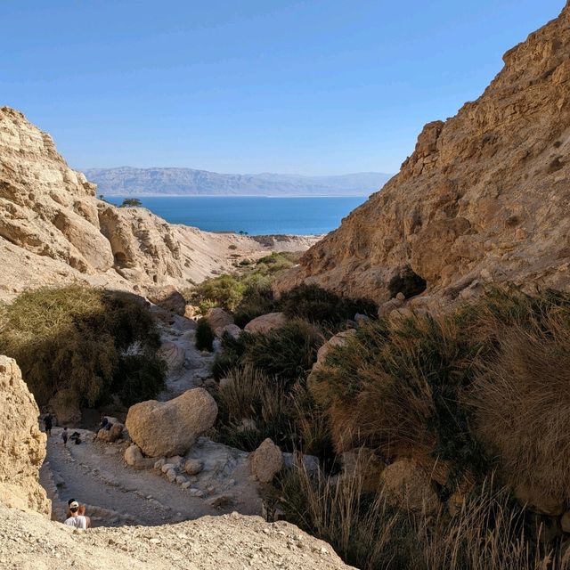 Enjoying the wonder of the Ein Gedi oasis 