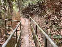 市區簡易郊遊 - 黃泥涌峽徑