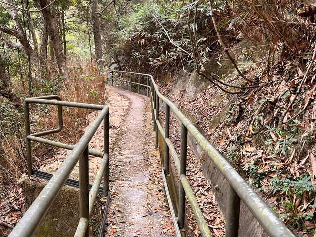 市區簡易郊遊 - 黃泥涌峽徑