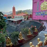 Exploring the Ten Thousand Buddhas