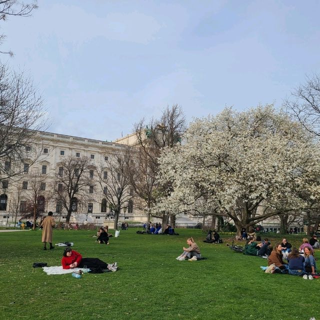 Vienna in bloom