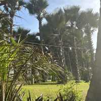 Coco Ocean Hotel