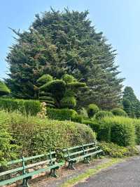 Unbelievable Topiary in a quaint seaside town.