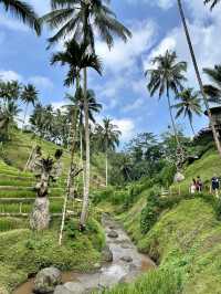 Alas Harum Bali