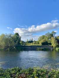 River Suir Adventure and Forest Trails