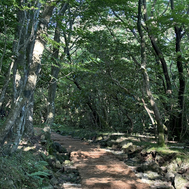 Hiking trip to the highest mountain of South Korea
