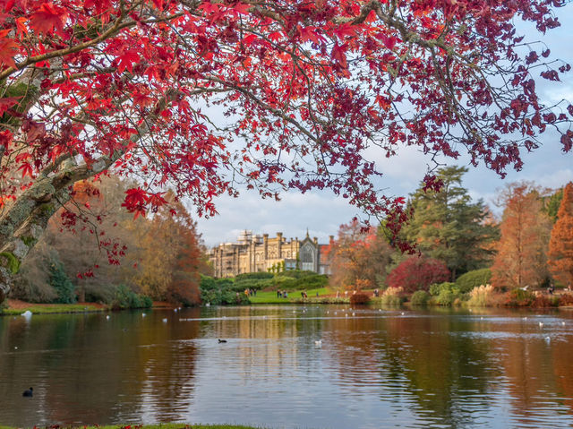 Sheffield Park: A National Trust Gem in East Sussex 🎄