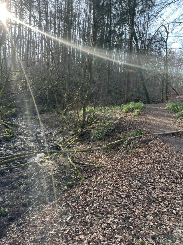 In search of Hobbits 