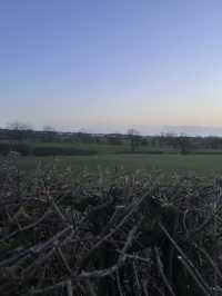 Escape to the country 