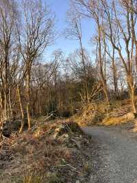 The best views of Windermere 