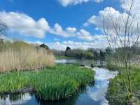 Springtime in Birmingham: From The Vale to Winterbourne Gardens