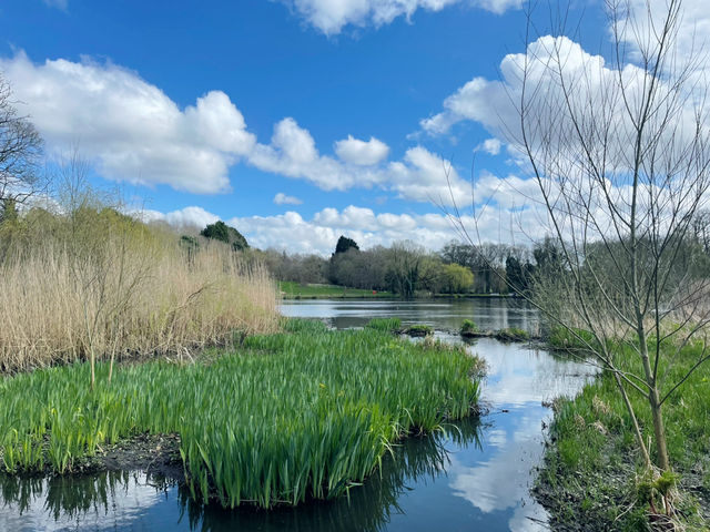 Springtime in Birmingham: From The Vale to Winterbourne Gardens