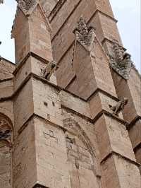 A trip to palma