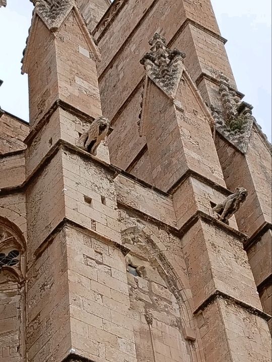 A trip to palma
