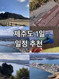 제주도 1일 일정 추천 !