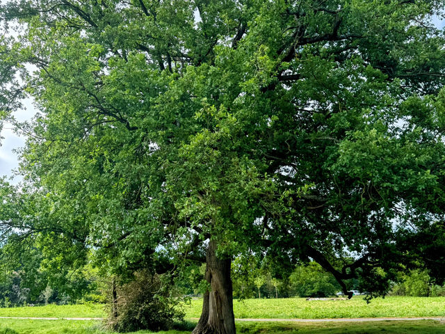 The beauty of Crawley, England - May 2025