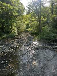 Down by the river 