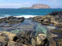 The Canary Islands, Spain
