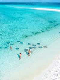 Maldives Snorkeling: Dive into a Colorful Underwater Paradise