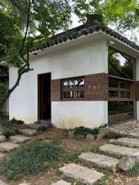 Nanjing: Where History Meets Modern Life