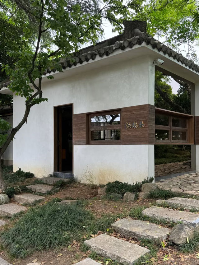 Nanjing: Where History Meets Modern Life
