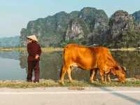 Tam Coc: Vietnam’s Hidden Gem of Limestone Peaks and Peaceful Rice Fields