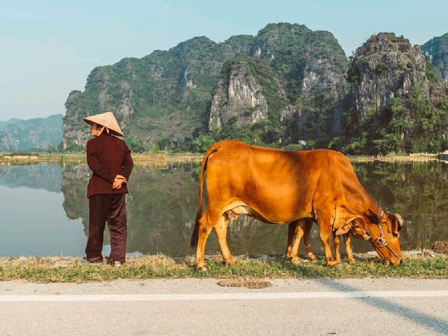 Tam Coc: Vietnam’s Hidden Gem of Limestone Peaks and Peaceful Rice Fields