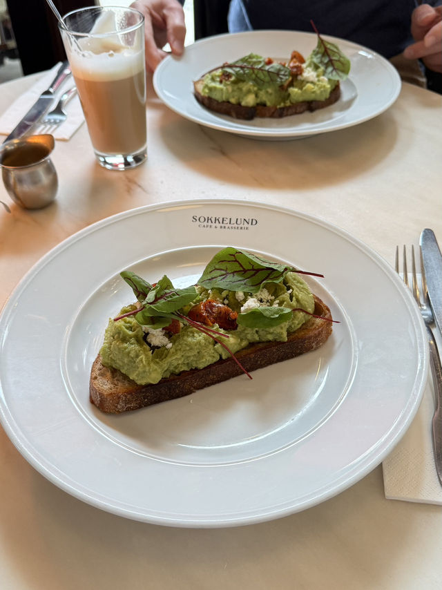 🚶‍♀️🌿 Strolling Through Frederiksberg – Copenhagen’s Leafy, Elegant Escape 🇩🇰✨