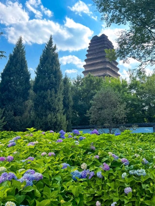 🏯Xi’an - Where Ancient China Comes to Life