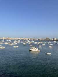 Alexandria 