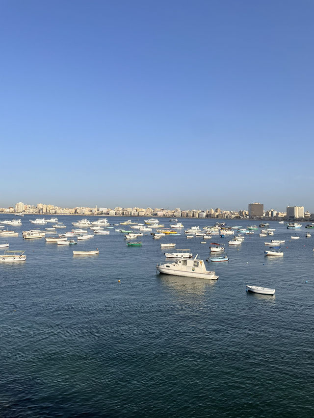 Alexandria 