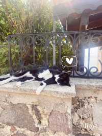 The Castle of Molyvos – A Journey Through Time