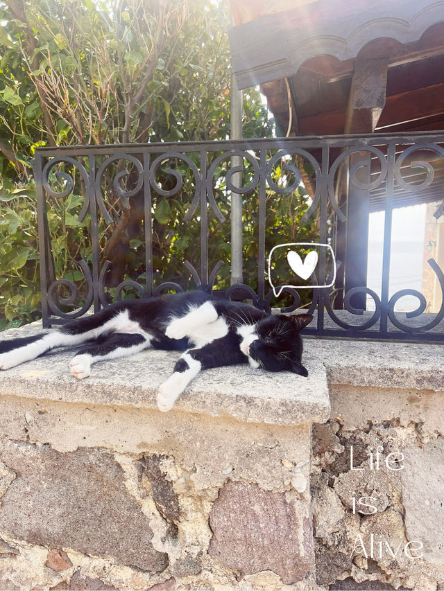 The Castle of Molyvos – A Journey Through Time