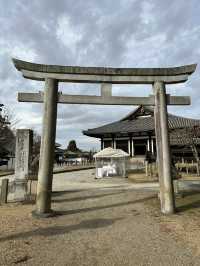 Deer, Temples & Tranquility: The Ultimate Nara Park Stroll 
