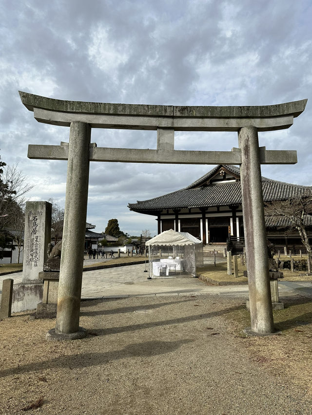 Deer, Temples & Tranquility: The Ultimate Nara Park Stroll 