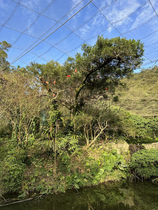 My adventure took me through two cities: vibrant Taipei and Qujing! My adventure took me through two cities: vibrant Taipei and Qujing!