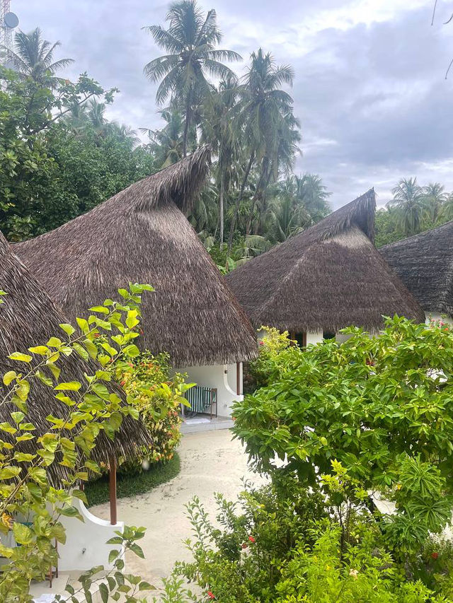 Fihalhohi Island Resort — The Maldives with Soul (Not Perfection, But Heart)