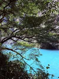 I Walked in the World of AVATAR & Found Heaven's Gate