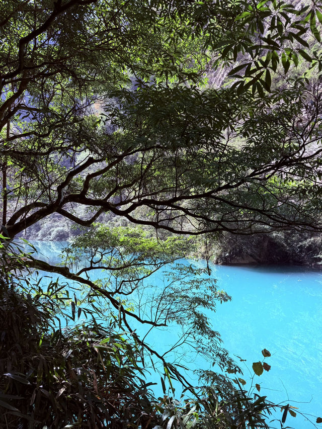 I Walked in the World of AVATAR & Found Heaven's Gate