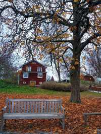 🍁 Autumn at Skansen – A Living Tapestry of Nordic Nature 🌿🧡