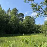 Gauja National Park Gaujas Nacionālais parks